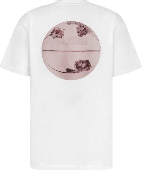 dior daniel arsham t shirt|daniel arsham dior basketball.